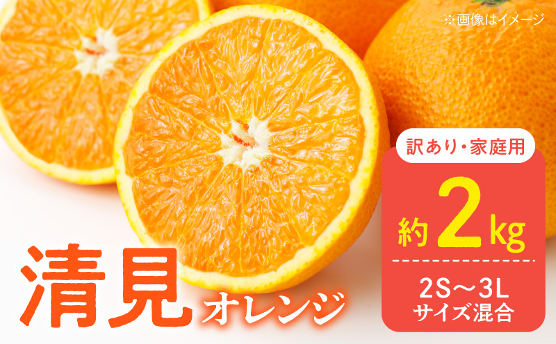 ya̎RLcS󒬁zDZ6227_y2026Ns\z󂠂 ƒp  IW a̎R Lc 2S`3LTCY 2kg