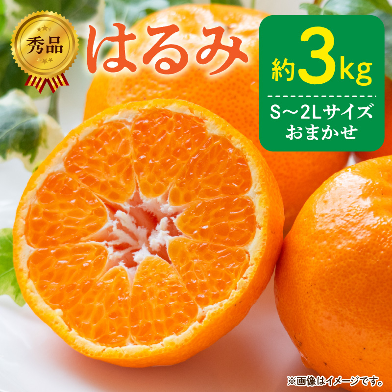 ya̎RLcS󒬁zDZ6109_y2026Ns\zGi ͂ a̎R Lc S`2LTCY 傫C 3kg