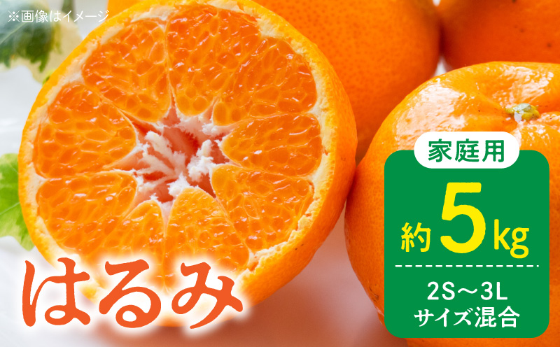 ya̎RLcS󒬁zDZ6228_y2026Ns\z󂠂 ƒp ͂ a̎R Lc 2S`3LTCY 5kg