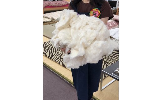 コットンの王様・エジプト綿入り「究極の掛ふとん」（ローズピンク）【CW25W】