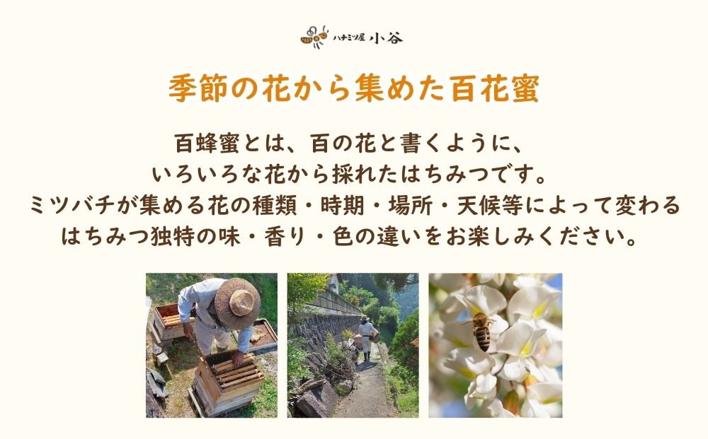 奈良県宇陀市のふるさと納税 はちみつ 夏セット／ 国産 純粋 蜂蜜 ハチミツ ハニー 非加熱 無精製 贈答用 贈り物 ハチミツ屋小谷 奈良県 宇陀市 ふるさと納税