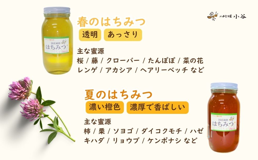 奈良県宇陀市のふるさと納税 はちみつ 夏セット／ 国産 純粋 蜂蜜 ハチミツ ハニー 非加熱 無精製 贈答用 贈り物 ハチミツ屋小谷 奈良県 宇陀市 ふるさと納税