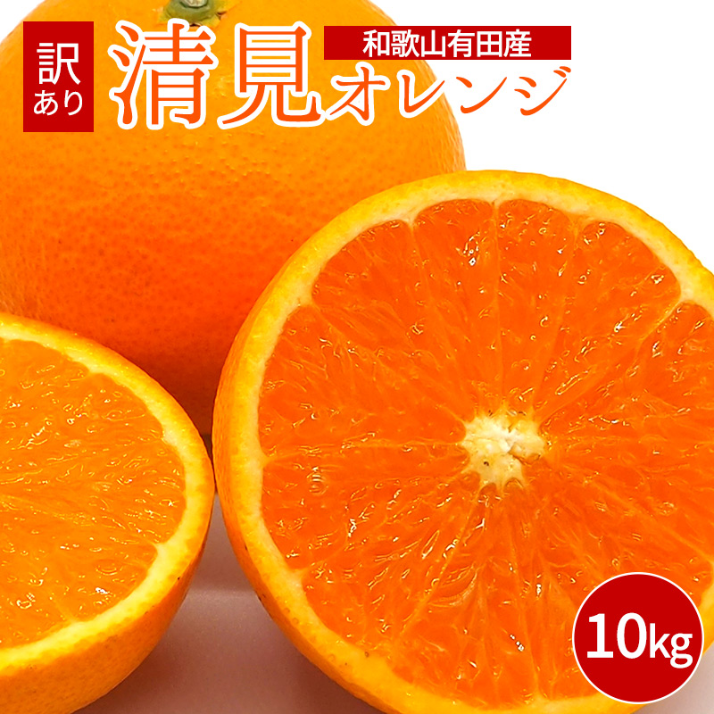 和歌山田村　バレンシアオレンジ43玉　7500gほど 贈答用】 和歌山県産 バレンシアオレンジ5kg | 有田みかん 和歌