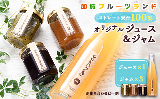yΐ쌧szIWiW[X@500ml×1{ƃW140g×3Zbg F6P-1814