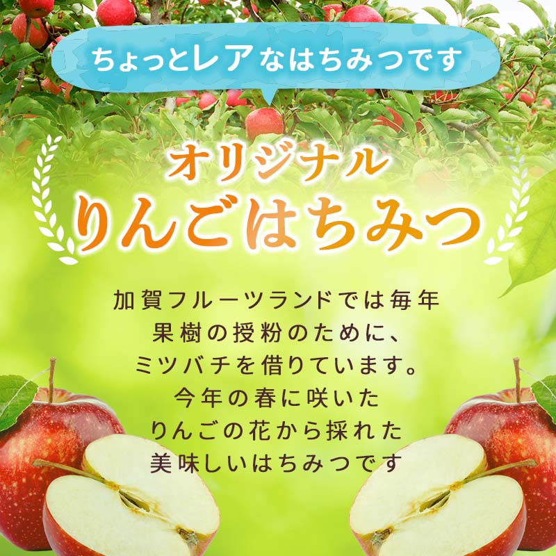 オリジナル加賀のりんごはちみつ　130ml×2本 F6P-2444