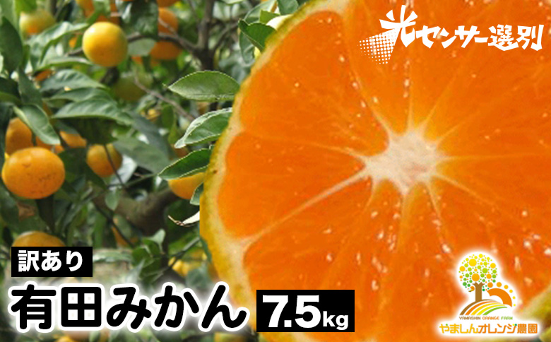 【和歌山県美浜町】【訳あり】有田みかん 7.5kg | 農家直送 訳あり ご家庭用 サイズ混合 光センサー選別 温州みかん みかん 訳あり わけあり 家庭用  ※2025年11月中旬〜12月下旬頃に順次発送予定 ※北海道・沖縄・離島への配送不可