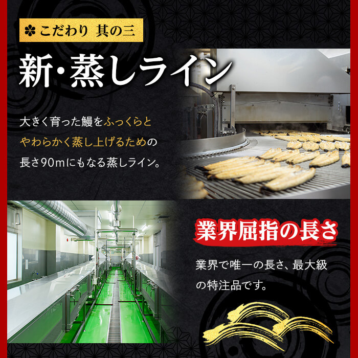 鹿児島県志布志市のふるさと納税 【志布志市制20周年記念】日ノ本一の鰻の蒲焼き＜大＞1尾(約190g以上) a2-116