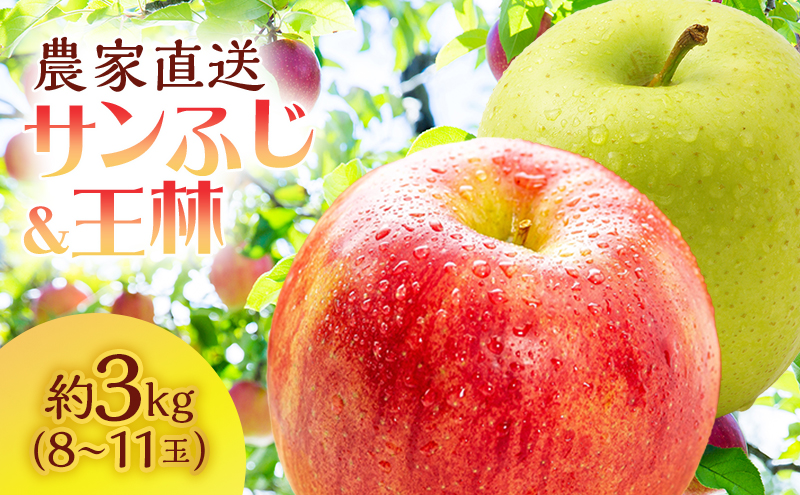 【青森県鰺ヶ沢町】サイキチ農園 サンふじ 王林 約 3kg (8〜11玉) 青森県鰺ヶ沢町産 りんご リンゴ  フルーツ 果物 果物類 林檎