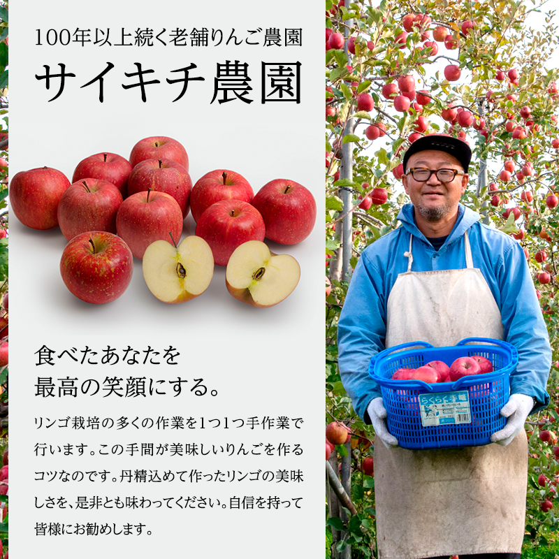 サイキチ農園 サンふじ 約 3kg (8～11玉)  青森県鰺ヶ沢町産 りんご リンゴ  フルーツ 果物 果物類 林檎 
