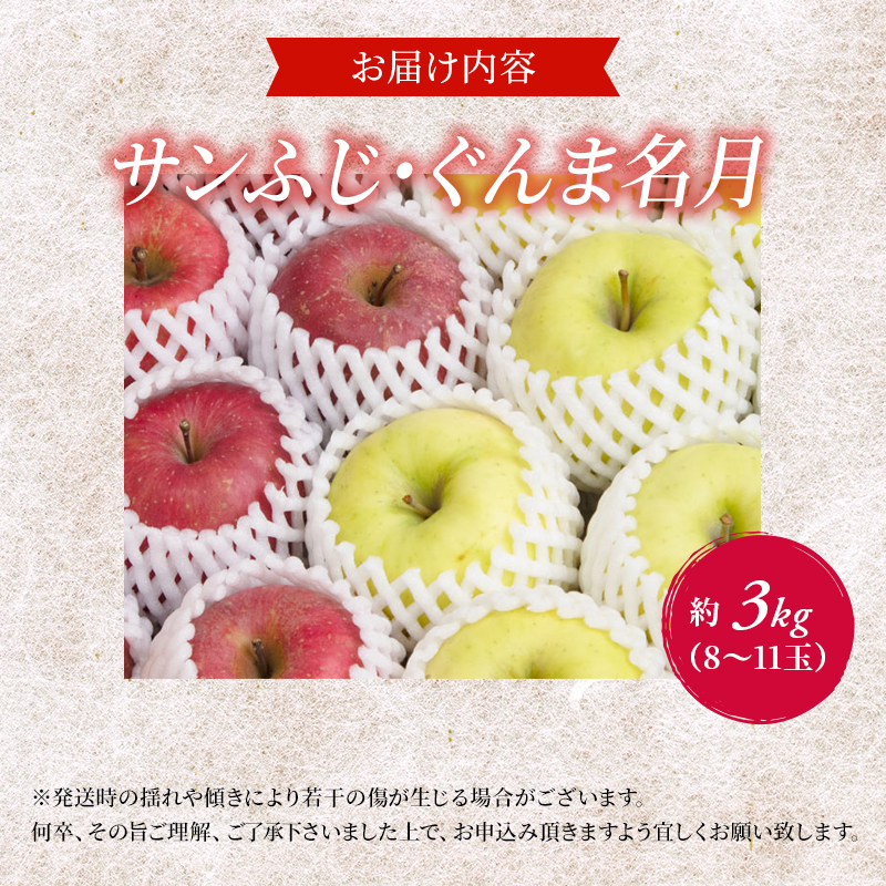 サイキチ農園 サンふじ ぐんま名月 約 3kg (8～11玉)  青森県鰺ヶ沢町産 りんご リンゴ  フルーツ 果物 果物類 林檎 