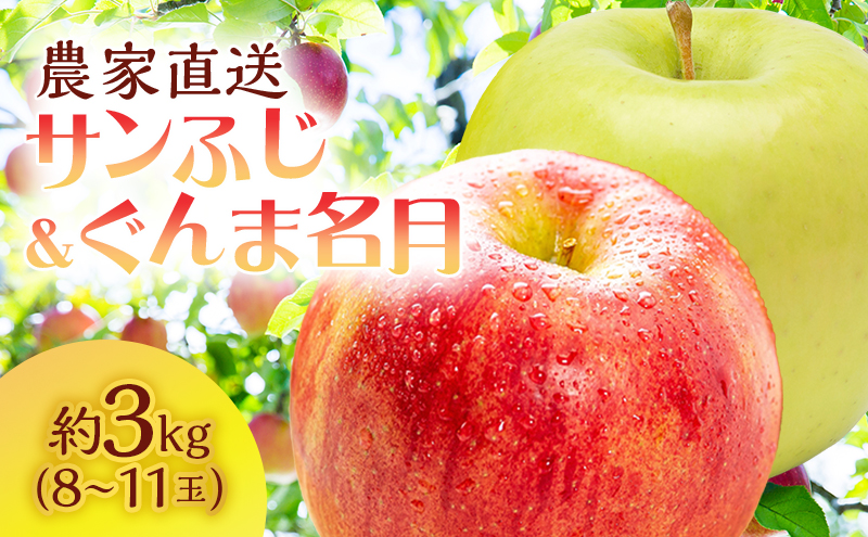 数量 限定 りんごジュース 飲み比べ 1L×6本 青森 ジュース