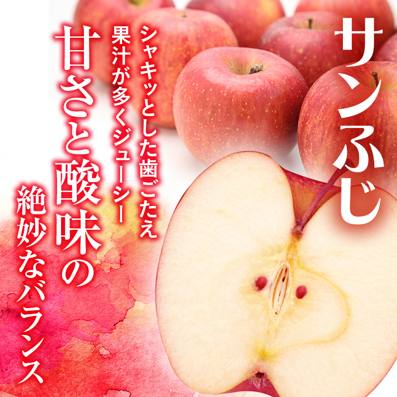 サイキチ農園 サンふじ ぐんま名月 約 3kg (8～11玉)  青森県鰺ヶ沢町産 りんご リンゴ  フルーツ 果物 果物類 林檎 