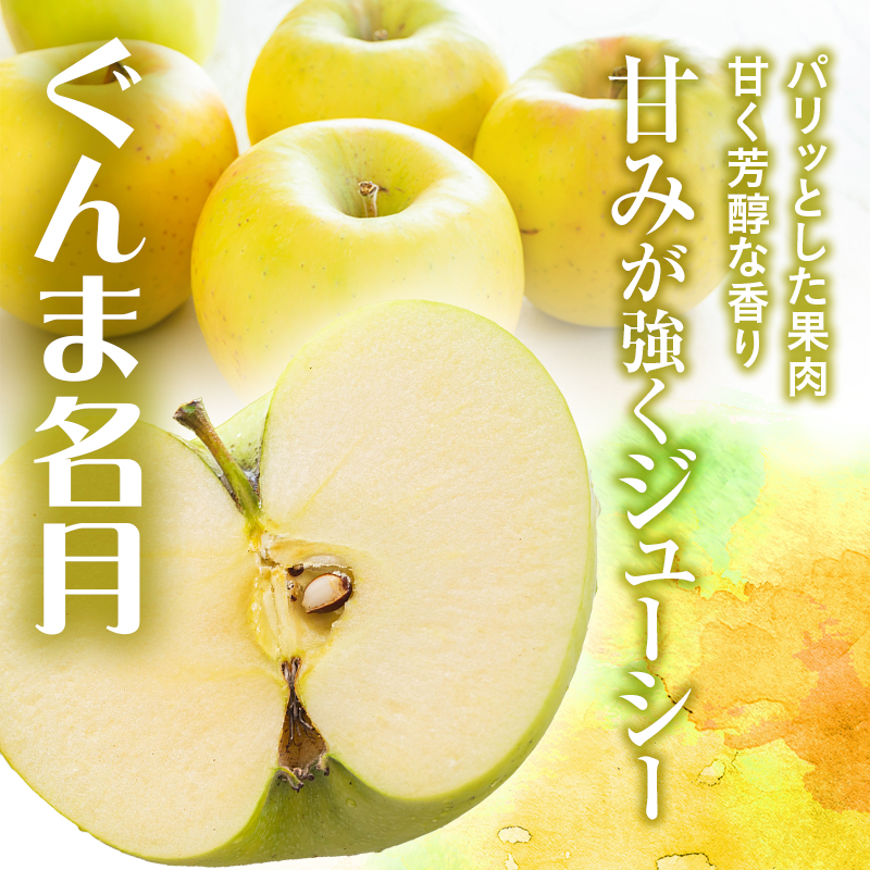 サイキチ農園 サンふじ ぐんま名月 約 3kg (8～11玉)  青森県鰺ヶ沢町産 りんご リンゴ  フルーツ 果物 果物類 林檎 