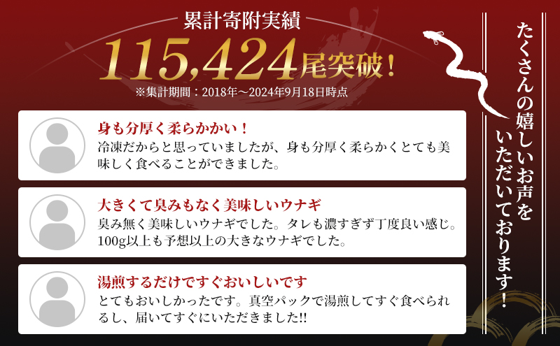静岡県浜松市のふるさと納税 国産うなぎ 浜名湖産 蒲焼き 2尾 (100g以上×2本入) 山椒 たれ セット 詰め合わせ 海老仙 国産 うなぎ ウナギ 鰻 うなぎの蒲焼 土用の丑の日 静岡 浜松