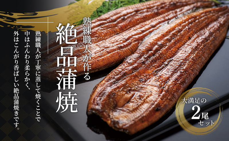静岡県浜松市のふるさと納税 国産うなぎ 浜名湖産 蒲焼き 2尾 (100g以上×2本入) 山椒 たれ セット 詰め合わせ 海老仙 国産 うなぎ ウナギ 鰻 うなぎの蒲焼 土用の丑の日 静岡 浜松