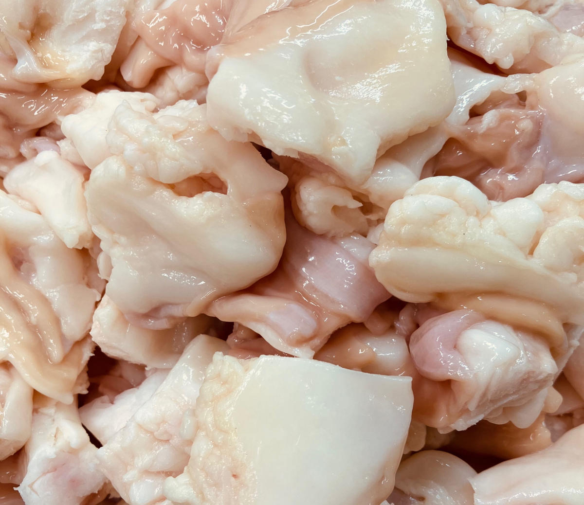 数量限定近江牛ホルモン　ホルモン屋が作った本気のもつ鍋セット　1回分　2～3人前　【FO28W】