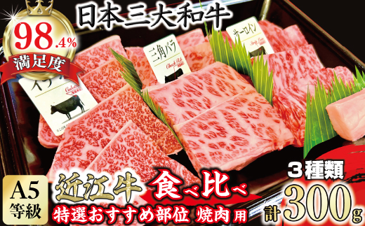 A5等級未経産雌牛　特選近江牛おすすめ部位　焼肉3種盛り　300ｇ【FO29W】