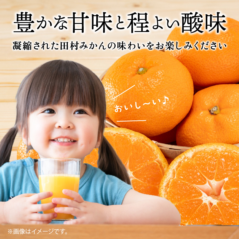 G7029_Y_【直営限定】果汁100％田村そだちみかんジュース 970ml