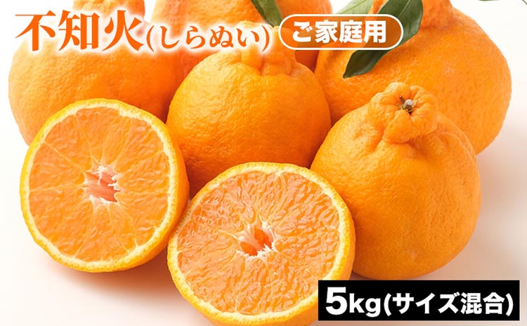 ご家庭用 不知火 (しらぬい) サイズ混合 5kg | みかん 柑橘 和歌山 みかん 不知火 しらぬい 家庭用 フルーツ 果物 5kg ※2026年1月下旬～3月下旬頃に順次発送予定