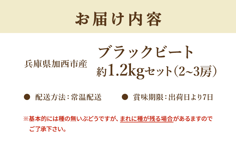 【令和8年産】ブラックビート 2～3房 セット  ぶどう 種無し 皮ごと 兵庫県産 大粒 農家直送 果物 果物類 フルーツ デザート ブドウ 詰め合わせ 甘い 粒 糖度 巨峰 