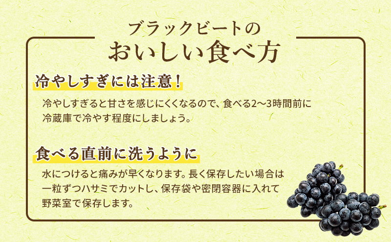 【令和8年産】ブラックビート 2～3房 セット  ぶどう 種無し 皮ごと 兵庫県産 大粒 農家直送 果物 果物類 フルーツ デザート ブドウ 詰め合わせ 甘い 粒 糖度 巨峰 