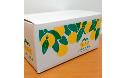 土佐水谷農園の露地土佐文旦 家庭用約3キロ 3kg 大小混合 ぶんたん ブンタン フルーツ 柑橘 みかん 果物 くだもの 柑橘類 デザート おやつ 訳あり わけあり ご家庭用 ご自宅用 旬 食品