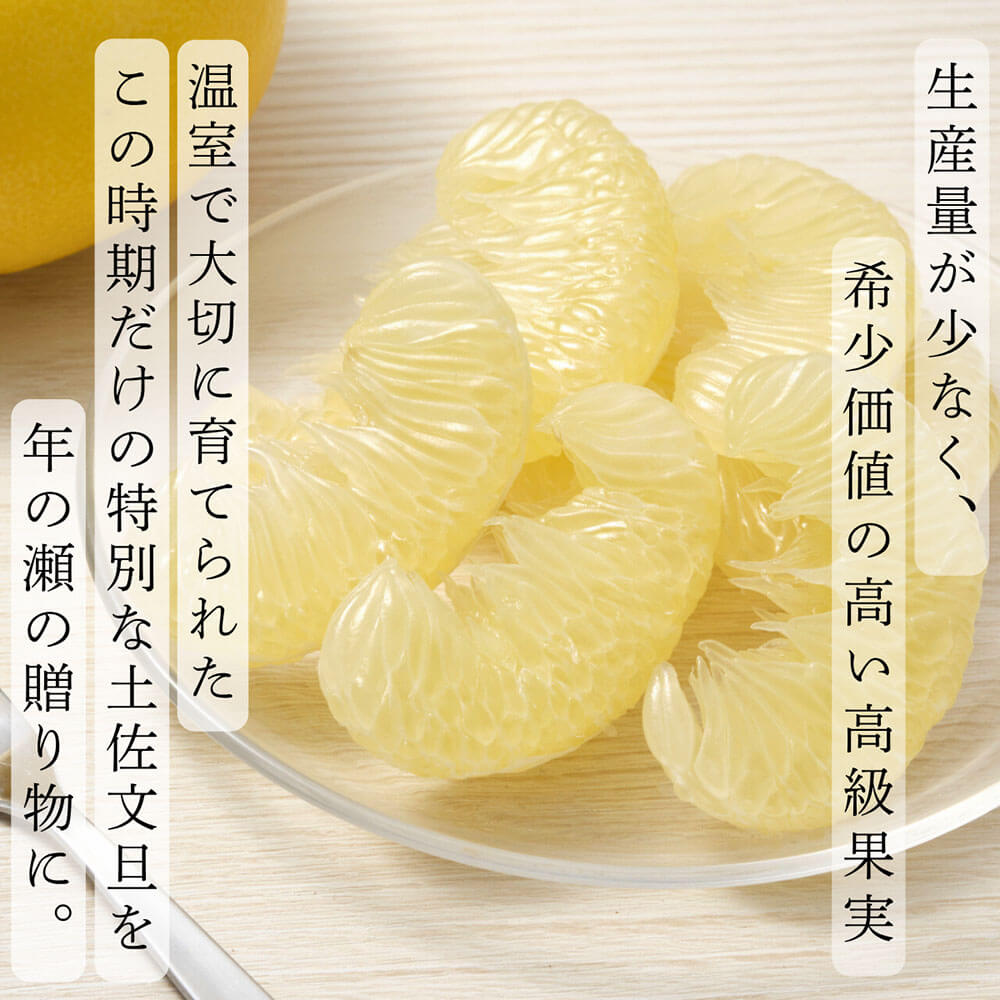 厳選 温室土佐文旦 贈答用木箱入り 大玉 2玉 約600g×2個 ぶんたん ブンタン フルーツ 柑橘 みかん 果物 くだもの 土佐文旦の藤岡 旬 プレゼント ギフト 贈答 贈り物 お歳暮