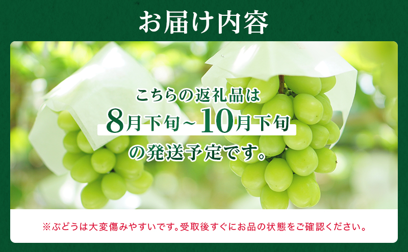 ぶどう 2026年 先行予約 シャイン マスカット 晴王 3房～6房 約2kg 8月下旬～11月下旬発送 ブドウ 葡萄 岡山県産 国産 フルーツ 果物 ギフト 