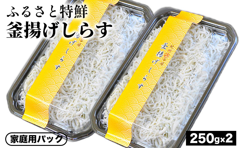 ふるさと特鮮釜揚げしらす 250g×2セット【家庭用パック】｜しらす 魚 鮮魚 減塩 採れたて 国産 お米 ご飯 ごはん  丼 ※北海道・沖縄・離島へのお届け不可 ※年末年始のお届け不可