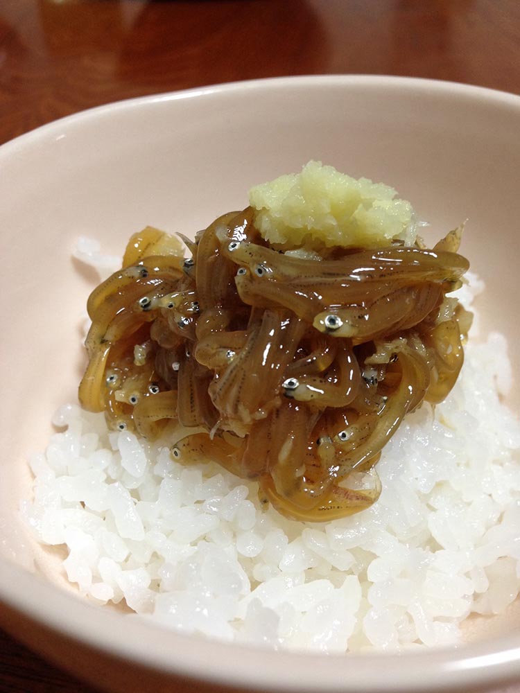 ふるさと漬生しらすセット（づけなましらす）3個｜しらす 魚 鮮魚 減塩 採れたて 国産 お米 ご飯 ごはん  丼 ※北海道・沖縄・離島へのお届け不可 ※年末年始のお届け不可