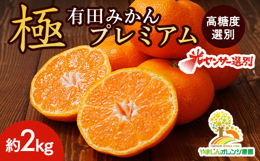 光センサー選別／極 有田みかんプレミアム 約2kg【光センサー 高