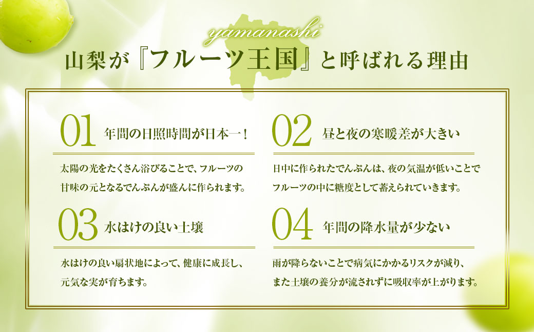 山梨県中央市のふるさと納税 【2025年発送】ぶどう 山梨県産 シャインマスカット500g以上（1房） [株式会社えべし 山梨県 中央市 21470865] フルーツ 果物 くだもの ブドウ シャイン マスカット 葡萄 期間限定 季節限定