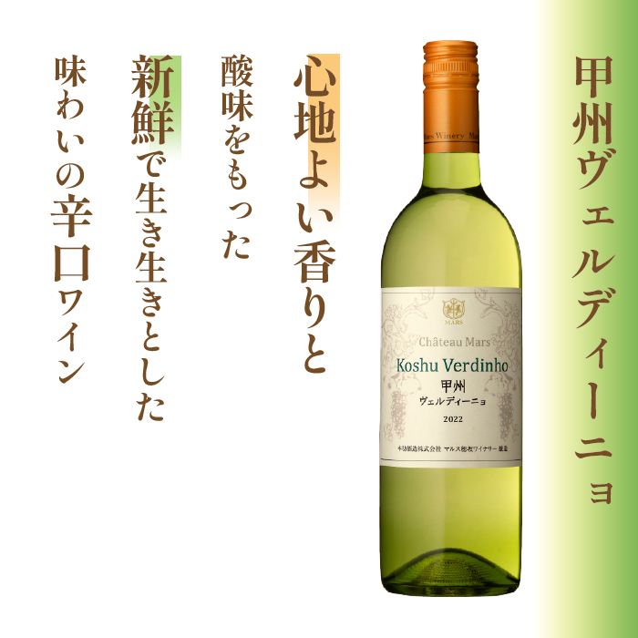 山梨県富士河口湖町のふるさと納税 「甲州オランジュ・グリ」「甲州ヴェルディ—ニョ」白ワイン2本セット FDK001