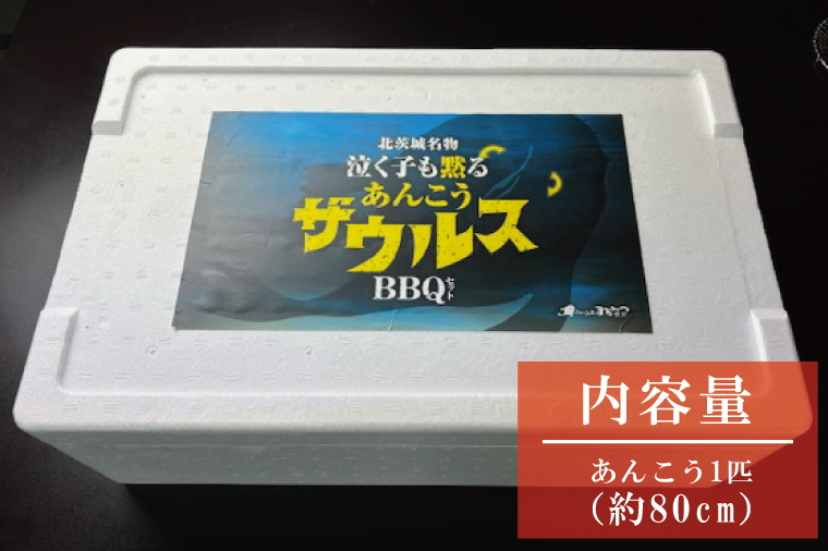 【ふるさと納税限定】あんこうザウルスBBQセット（AM211）