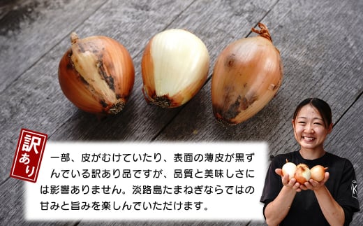 【訳あり】小さな淡路島たまねぎ 2Sサイズ 10kg　　[玉ねぎ 産地直送 玉葱]