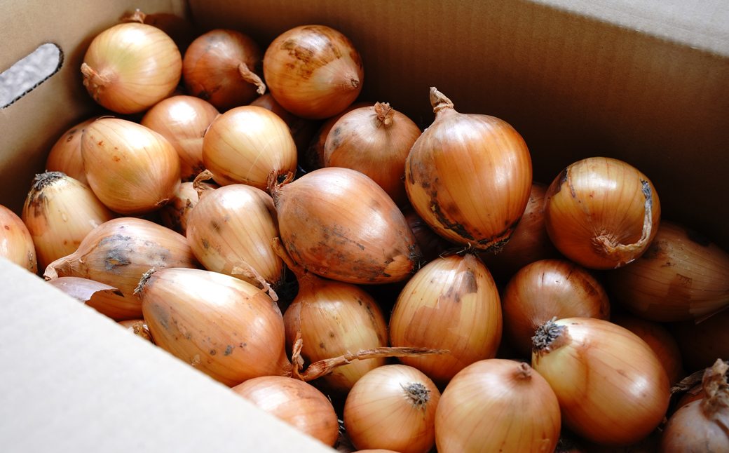 【訳あり】小さな淡路島たまねぎ 2Sサイズ 10kg　　[玉ねぎ 産地直送 玉葱]