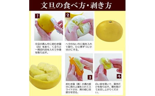 12月発送土佐文旦 温室土佐文旦 2～4L 約10kg 約10キロ(16～20個入り) お得箱 ブンタン ぶんたん 土佐文旦 ハウス文旦 フルーツ 果物 くだもの 柑橘 旬 高知県土佐市産 訳あり わけあり ご自宅用 ご家庭用 おいしい 甘い