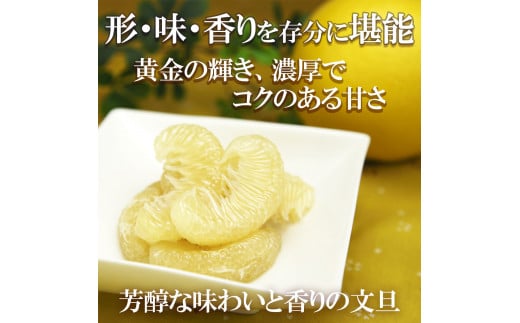 12月発送土佐文旦 温室土佐文旦 L～3L 約6kg 約6キロ(10～14個入り) お得箱 ブンタン ぶんたん 土佐文旦 ハウス文旦 高知県土佐市産 フルーツ 果物 くだもの 柑橘 旬 訳あり わけあり ご自宅用 ご家庭用 おいしい 甘い