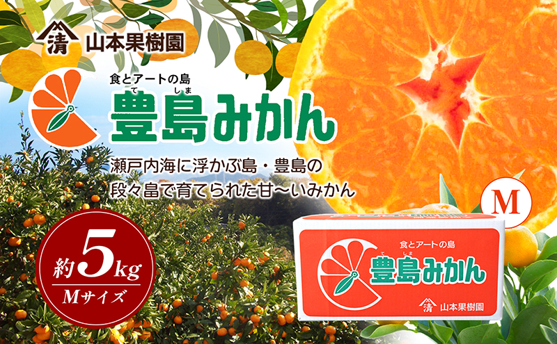 【香川県土庄町】【 小豆島 】瀬戸内海に浮かぶ島・豊島の段々畠で育てられた甘〜いみかん(Mサイズ5kg)1箱 豊島 みかん 蜜柑 ミカン 甘い 瀬戸内海 てしま 柑橘 フルーツ 果物 くだもの 香川 香川県 土庄 土庄町