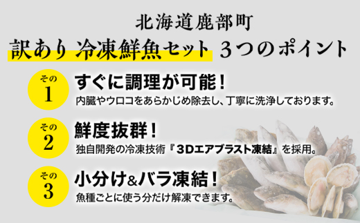 【2025年12月下旬発送】北海道産 冷凍鮮魚セット 最大3.2kg 「漁師応援プロジェクト！」 下処理済み 海鮮 海産 地元 期間限定