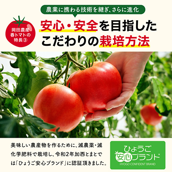 トマト 1kg トマトの一番星 野菜 とまと 完熟 高糖度 甘い 受賞 冷蔵配送