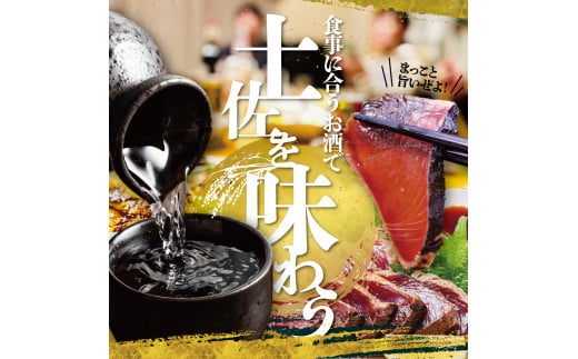 純米吟醸生原酒 CEL-24 720ml 生酒 毎月1本×3回 定期便 お酒 酒 さけ 日本酒 アルコール 生原酒 アルコール度数14度 14% 甘口 フルーティ 食中酒 地酒 亀泉酒造 おいしい 飲みやすい 冷蔵 配送