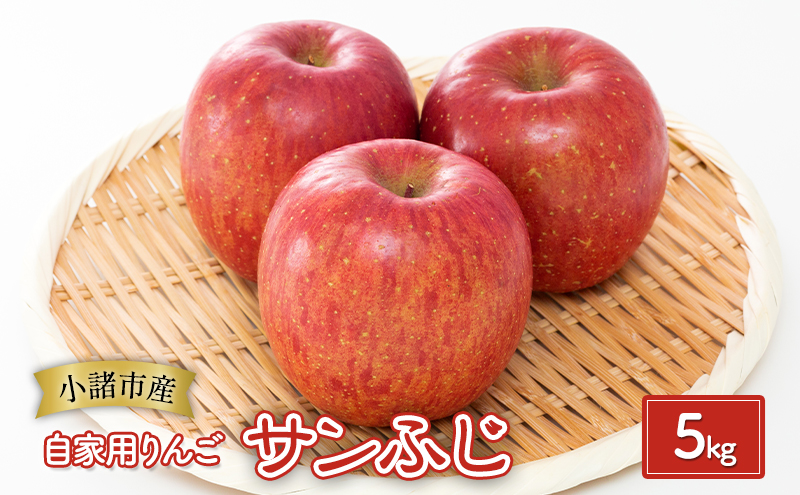 y쌧sz񂲁yƗp Tӂ 5kgzMB S ь ʕ  t[c MB 