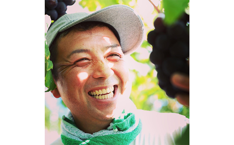 ぶどう ニュー ピオーネ 2kg  3房～4房 1房 約500g～600g 葡萄 フルーツ 岡山 高梁市産 赤迫農園 2026年 先行予約