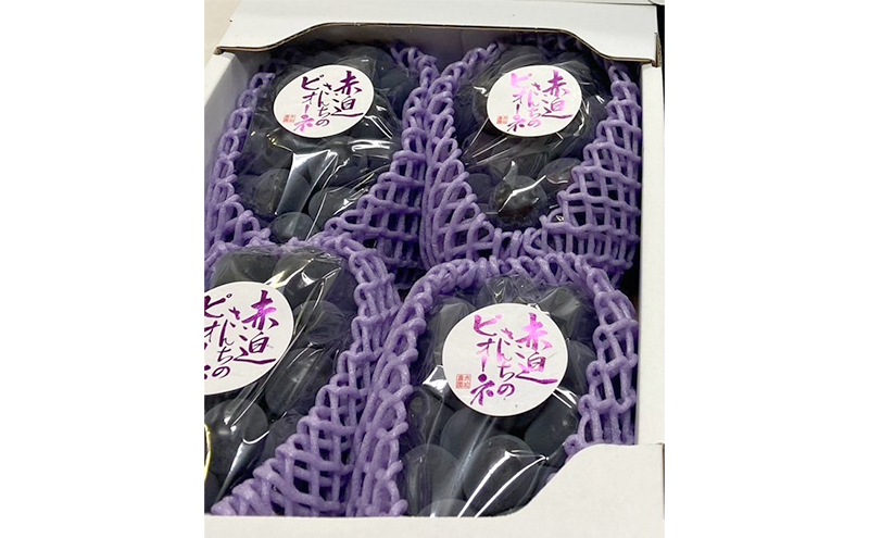 ぶどう ニュー ピオーネ 2kg  3房～4房 1房 約500g～600g 葡萄 フルーツ 岡山 高梁市産 赤迫農園 2026年 先行予約