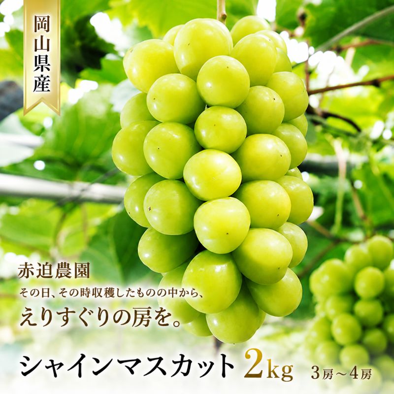 ぶどう シャインマスカット 2kg 3房～4房 1房 約500g～600g 葡萄