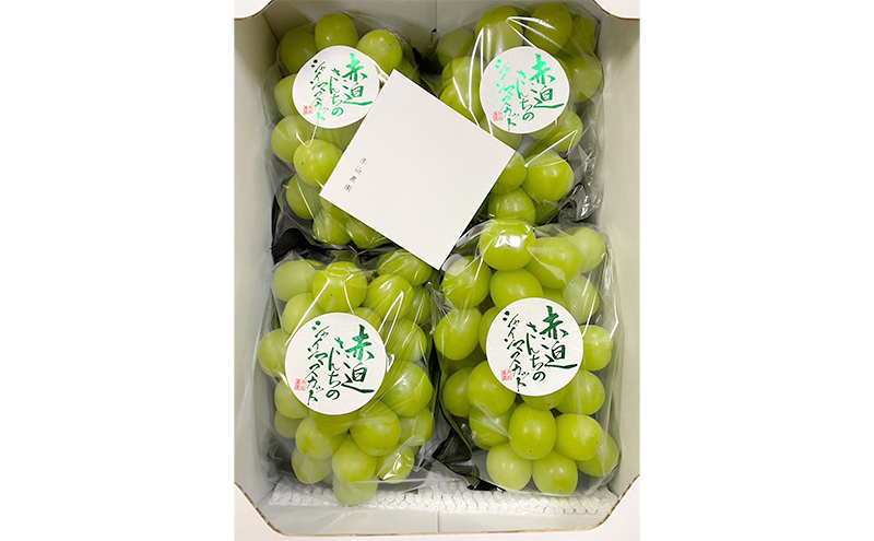 ぶどう シャインマスカット 2kg  3房～4房 1房 約500g～600g 葡萄 フルーツ 岡山 高梁市産 赤迫農園 2026年 先行予約