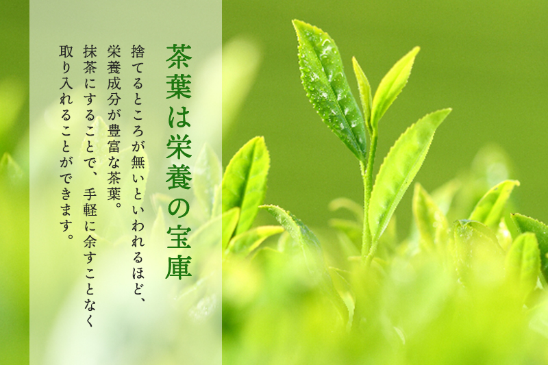 抹茶御手前セット（静香の昔30g缶入） 〈宇治抹茶 抹茶 茶 緑茶