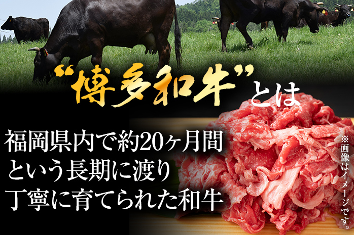 福岡県大木町のふるさと納税 訳あり 博多和牛切り落とし 1kg 黒毛和牛 お取り寄せグルメ お取り寄せ 福岡 お土産 九州 福岡土産 取り寄せ グルメ MEAT PLUS CP016