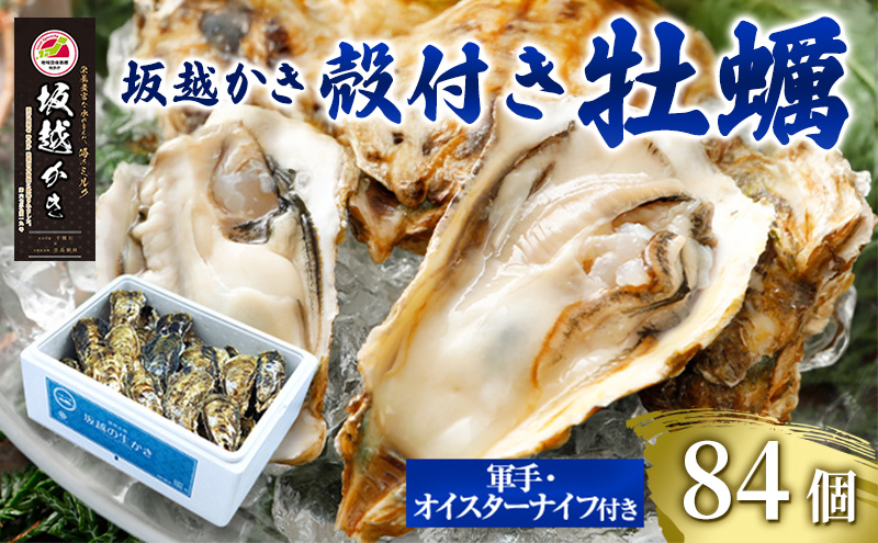 牡蠣 坂越かき 殻付き牡蠣 84個 軍手・オイスターナイフ付き[ 生